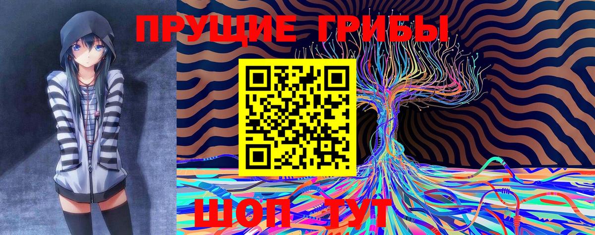 Псилоцибиновые грибы MAGIC MUSHROOMS  Вход с VPN  Бахчисарай  Псилоцибиновые грибы Magic Shrooms 