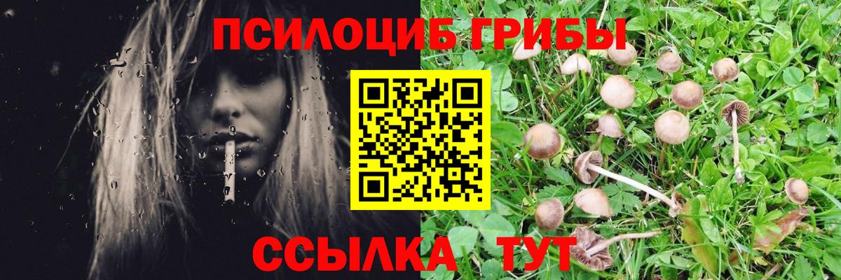 Галлюциногенные грибы Psilocybine cubensis Бахчисарай